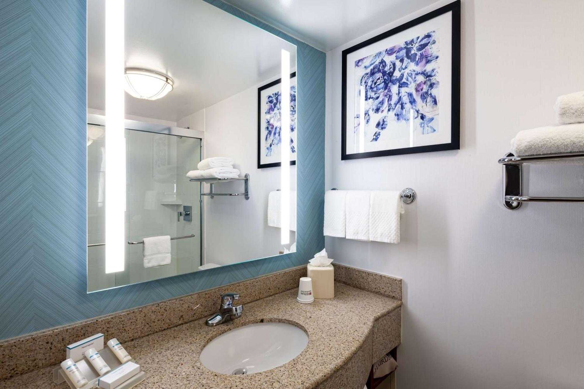 Hilton Garden Inn Chicago O'Hare Airport Des Plaines Luaran gambar
