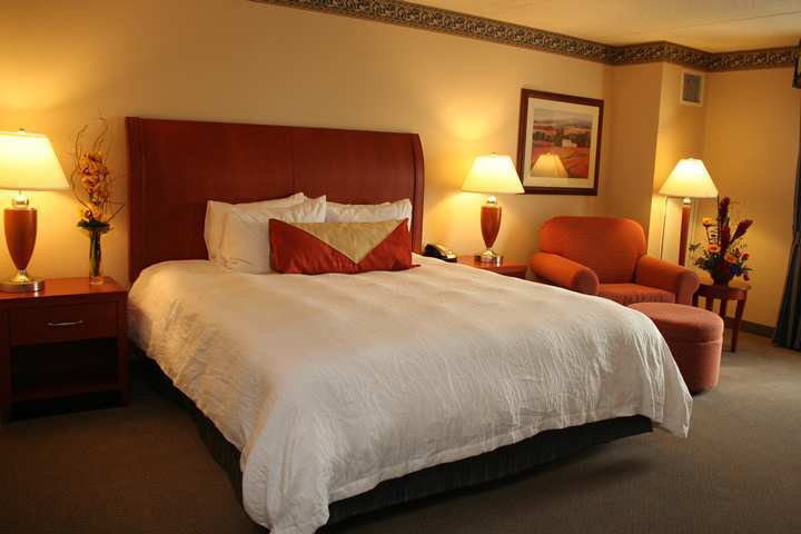 Hilton Garden Inn Chicago O'Hare Airport Des Plaines Bilik gambar